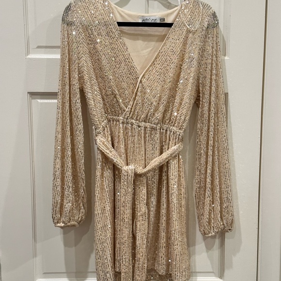 Petal & Pup Dresses Like New Worn Once Petal And Pup Champagne Glitz Sequenced Dress Poshmark